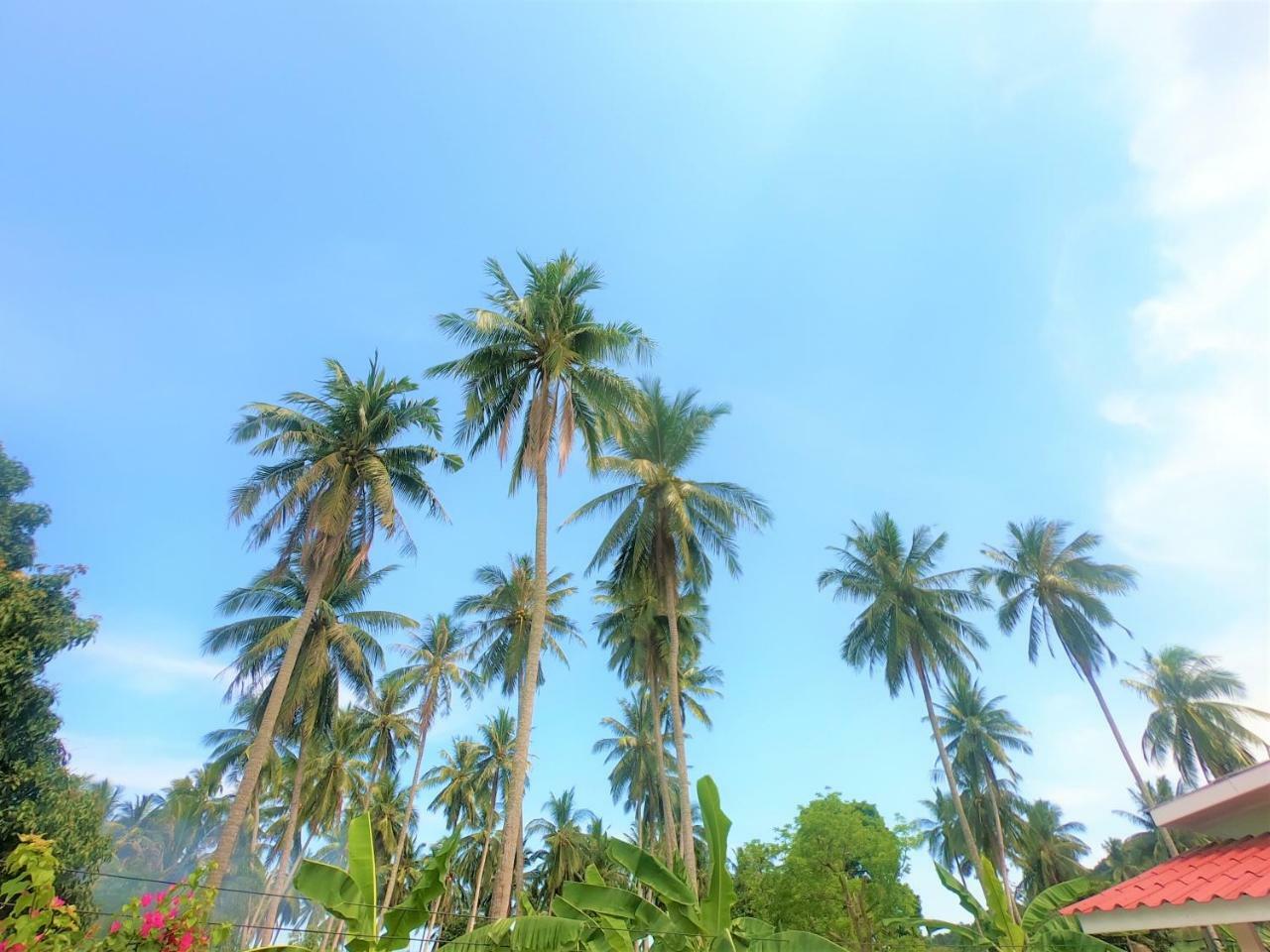 Wirason Villa Pool Maret 外观 照片